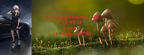 ALPHA-PVP Кукмор