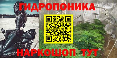 шишки Кинель