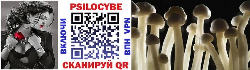 Псилоцибиновые грибы прущие грибы  где найти   Самара 