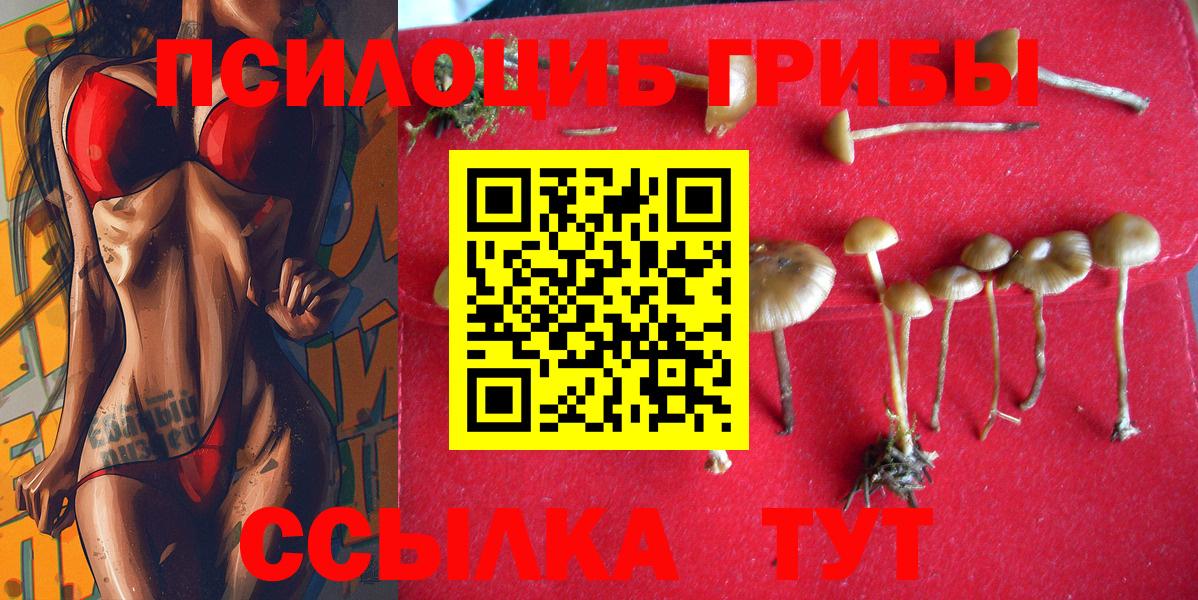 Галлюциногенные грибы мицелий  Вход с VPN  Самара 